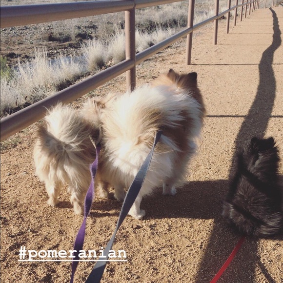 • 𝔪𝔢𝔢𝔱 𝔶𝔬𝔲𝔯 𝔰𝔢𝔩𝔩𝔢𝔯 !! • - Picture 1 of 11